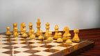 3.75” GERMAN KNIGHT STAUNTON WEIGHTED CHESS PIECES WITH 21”GOLDEN ROSEWOOD CHESSBOARD & BOX